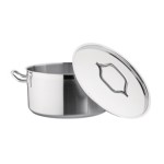 Stainless steel stew pot